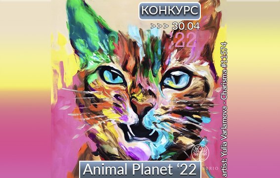 Animal Planet 22
