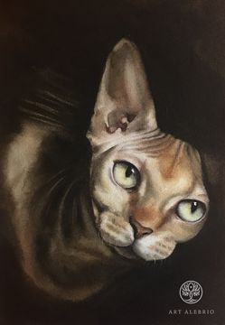 Cat portrait “Look”