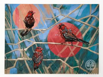 Strawberry Finches