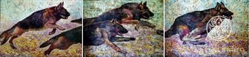 Triptych "Favorite Shepherd Dogs"_"An alloy of intelligence and courage, a fighting beast, Hard workers, my beloved tribe!"