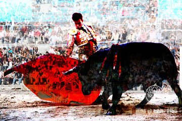 Bullfight 3