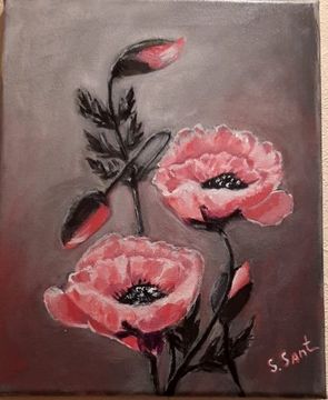 Pink poppies (Svetlana Santurova)