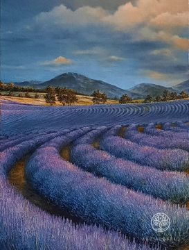 Lavender (Lilia Zharova)