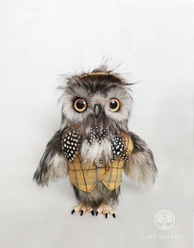 Aristocratic owlet