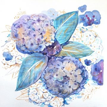 Blue hydrangea
