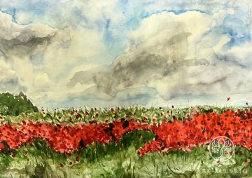 Poppy field before a thunderstorm