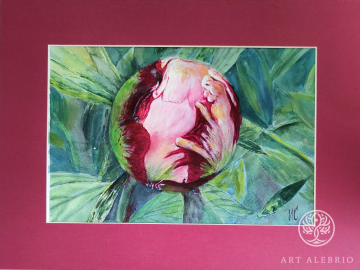 Peony bud. WATERCOLOR, 21X29.7 CM, SIZE WITH PASSEPARTOUT 30X40 CM. PAPER 300 G/M2.