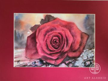 Red Rose. WATERCOLOR, 21X29.7 CM, SIZE WITH PASSEPARTOUT 30X40 CM. PAPER 300 G/M2.