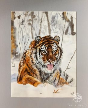 Tiger in the winter forest