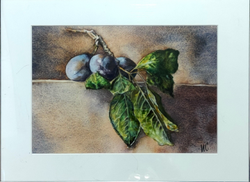 Ripe plums. Watercolor, size 21x29.7 cm, size with mat - 30x40 cm, size in frame - 34x44 cm.