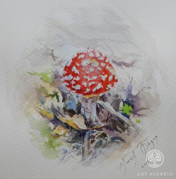 Gnome Fly Agaric