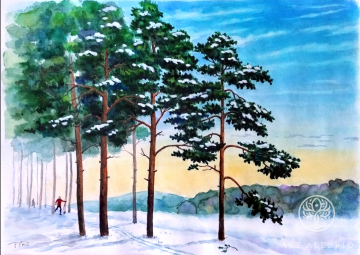 Winter. Pines and skiers